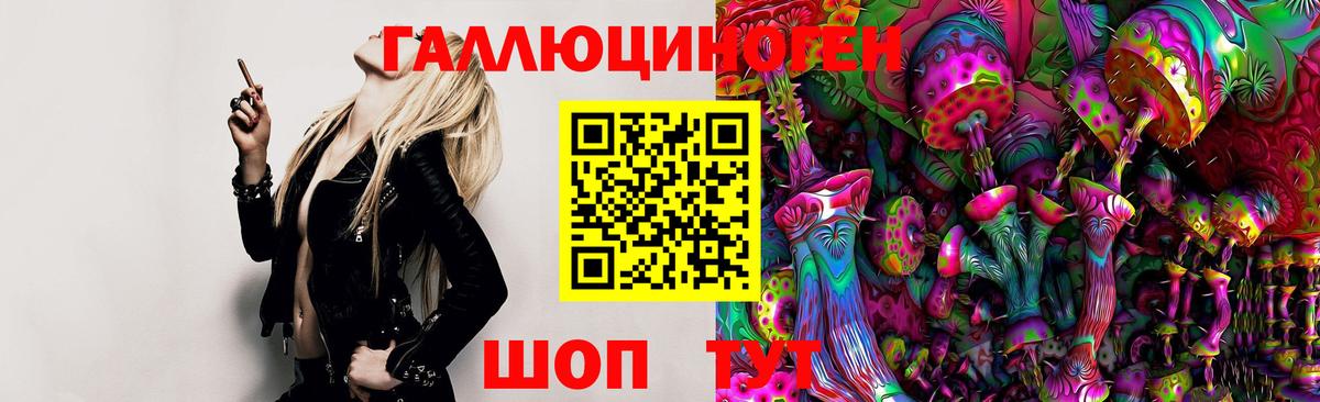 Галлюциногенные грибы Psilocybe  Вход с VPN  Рузаевка 
