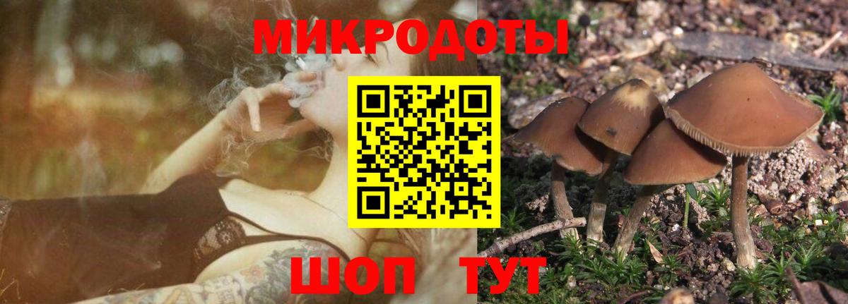Галлюциногенные грибы Magic Shrooms Рузаевка
